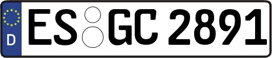 ES-GC2891