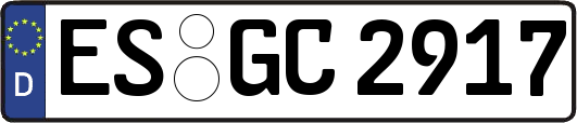 ES-GC2917