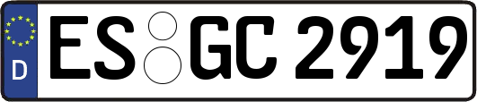 ES-GC2919