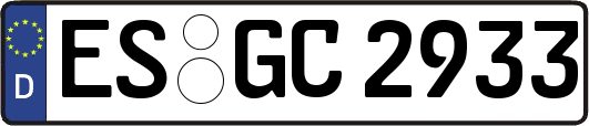 ES-GC2933
