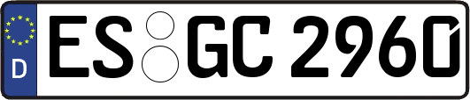 ES-GC2960