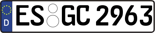 ES-GC2963