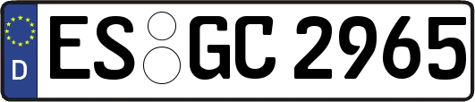 ES-GC2965