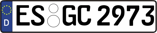 ES-GC2973