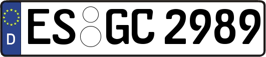 ES-GC2989