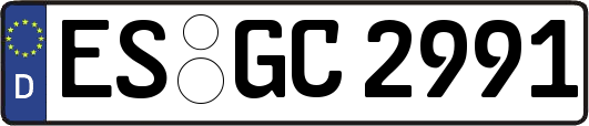 ES-GC2991