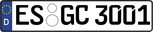 ES-GC3001