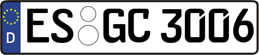 ES-GC3006