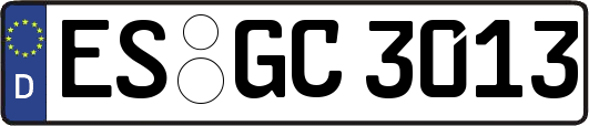 ES-GC3013