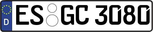 ES-GC3080