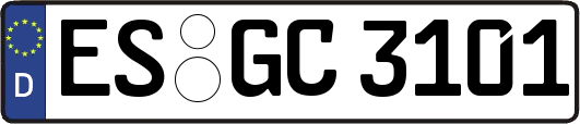 ES-GC3101