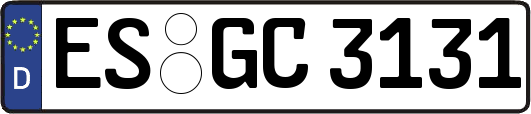 ES-GC3131