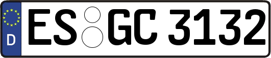 ES-GC3132
