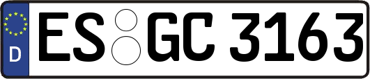 ES-GC3163