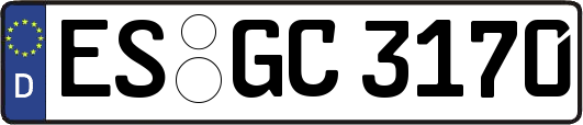 ES-GC3170