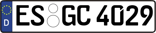 ES-GC4029