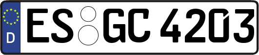 ES-GC4203
