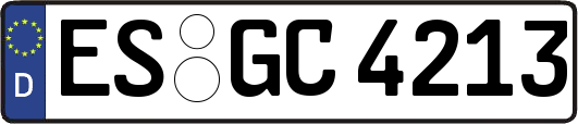 ES-GC4213