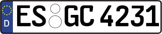 ES-GC4231