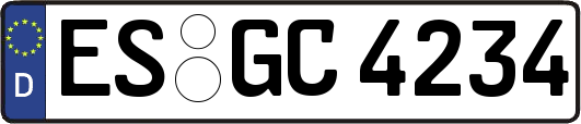 ES-GC4234