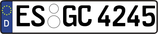 ES-GC4245