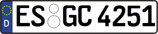 ES-GC4251