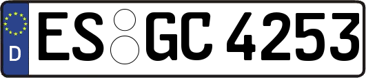 ES-GC4253