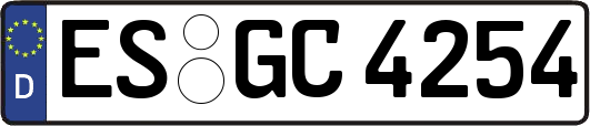 ES-GC4254
