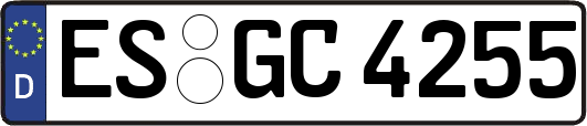 ES-GC4255