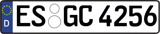 ES-GC4256