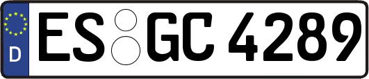 ES-GC4289