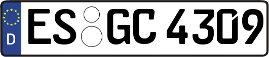 ES-GC4309