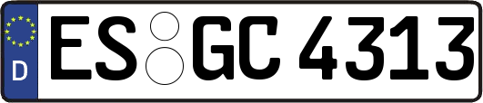 ES-GC4313