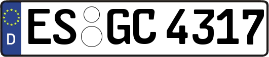 ES-GC4317