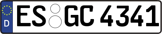 ES-GC4341