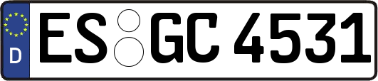 ES-GC4531