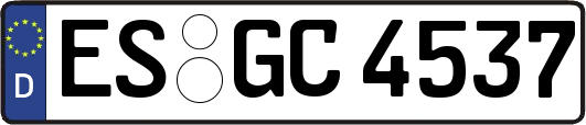 ES-GC4537