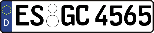 ES-GC4565