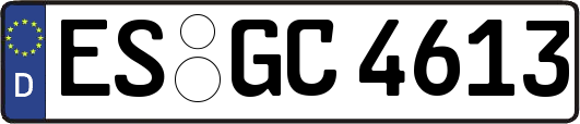 ES-GC4613