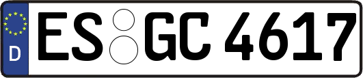 ES-GC4617