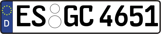 ES-GC4651