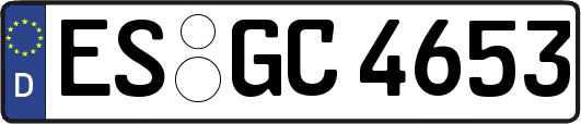 ES-GC4653