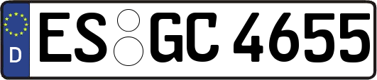 ES-GC4655