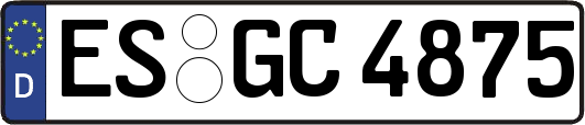 ES-GC4875