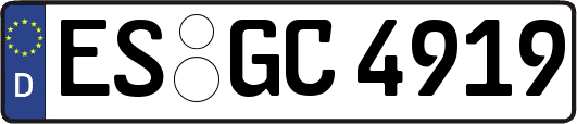 ES-GC4919