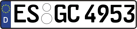 ES-GC4953