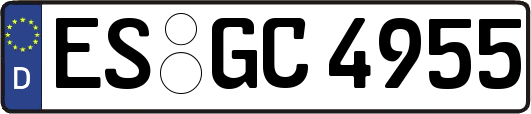 ES-GC4955