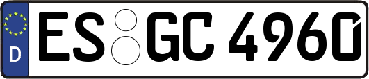 ES-GC4960