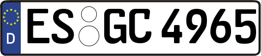 ES-GC4965