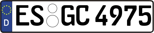 ES-GC4975